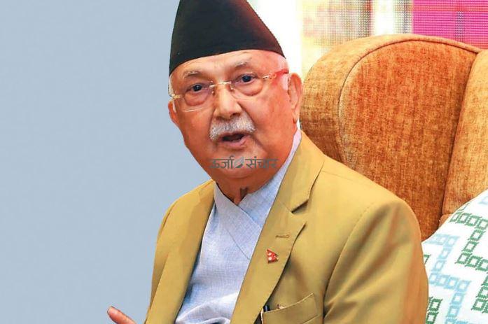 kp oli